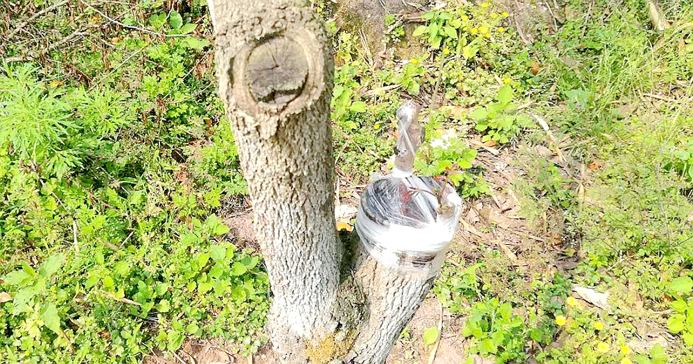 201904241014538372.jpg