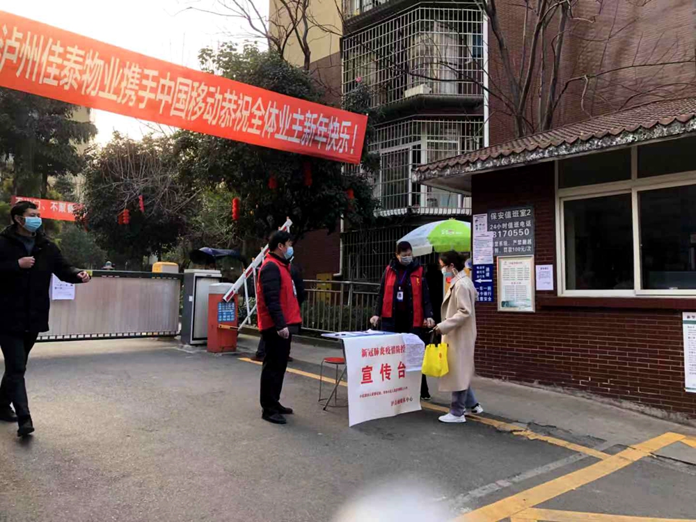 玉蟾.jpg