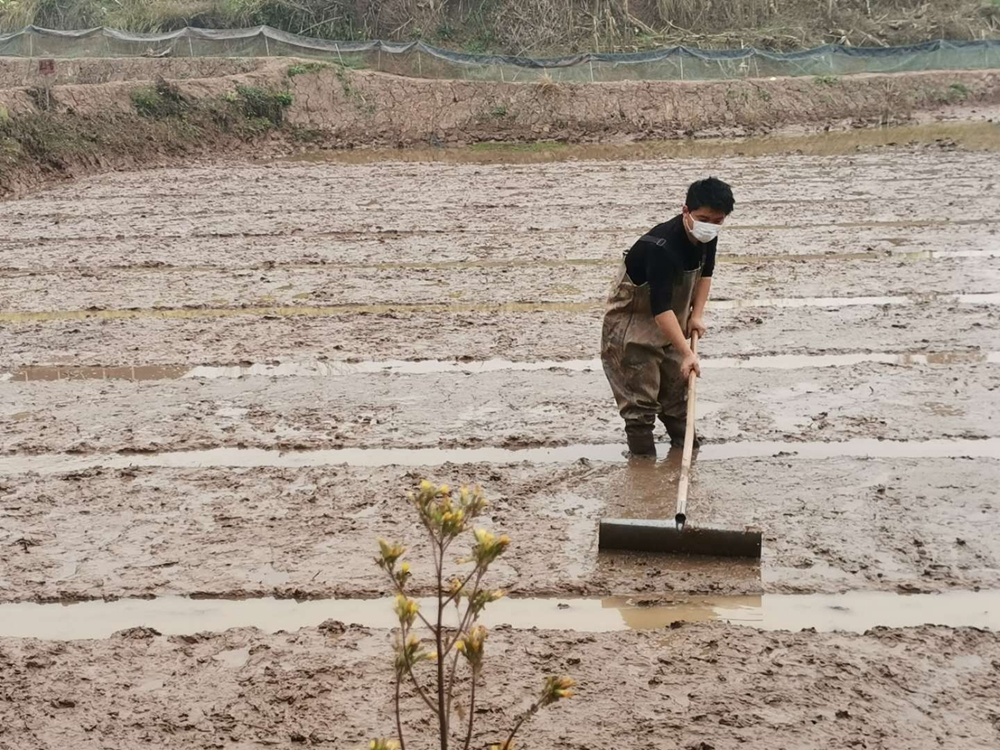 微信图片_202002141611008.jpg