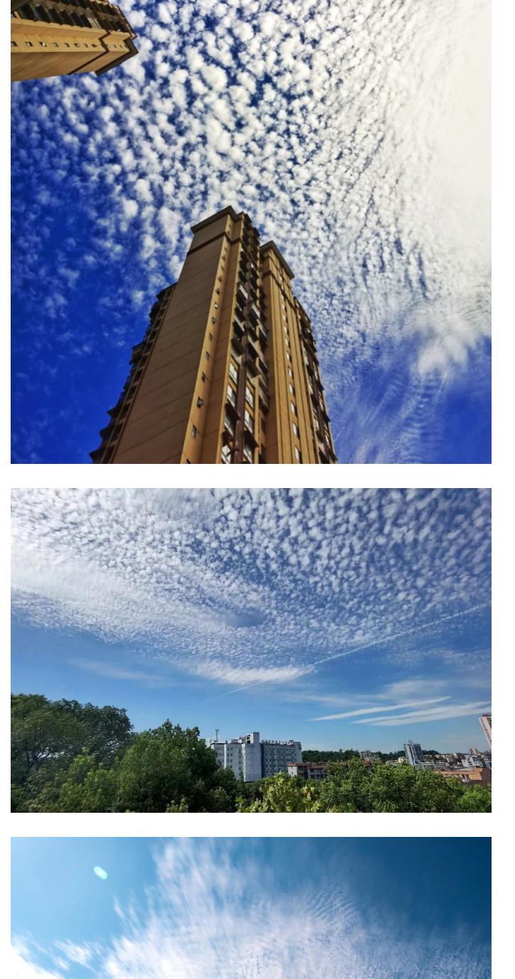 202208171554307262.png