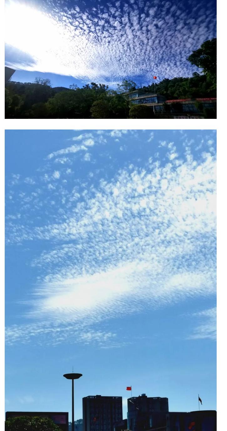 202208171554319504.png