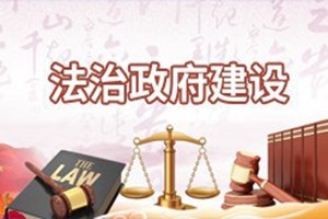 法治政府建设