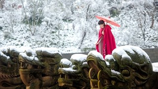 龙城新韵