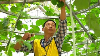 泸县农业工业社会民生事业