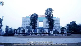 泸州医药产业园