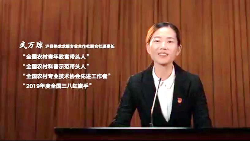 泸县党员教育电视片《我是武万琼》