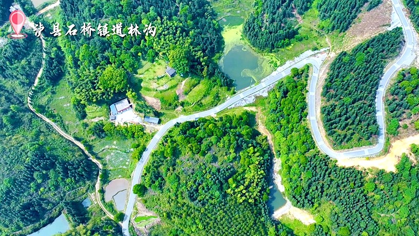 邂逅道林沟