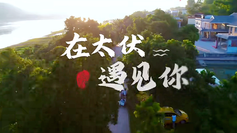 在太伏遇见你