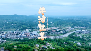 泸县地名文化保护名录展播丨地名印记——牛滩生姜