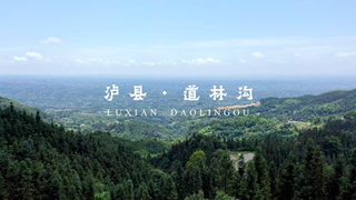 泸县·道林沟