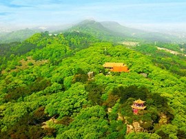 美景推荐丨来泸县，这些首选打卡地不容错过