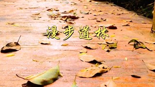 漫步道林