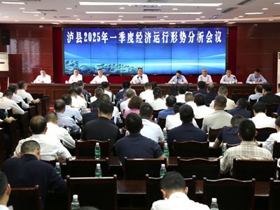 泸县召开2025年一季度经济运行形势分析会议