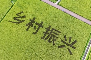 扎实推动乡村全面振兴