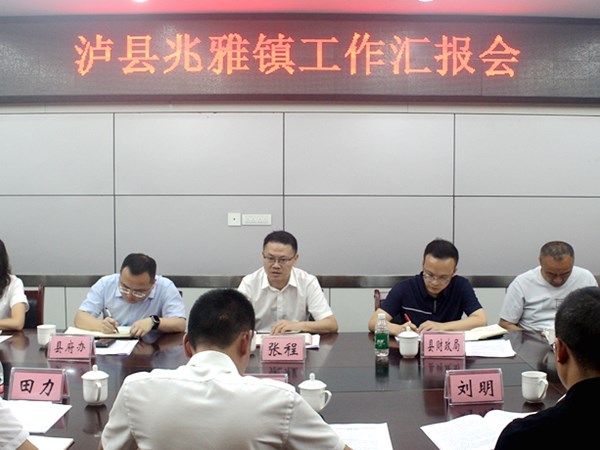 张程率队到兆雅镇调研重点工作