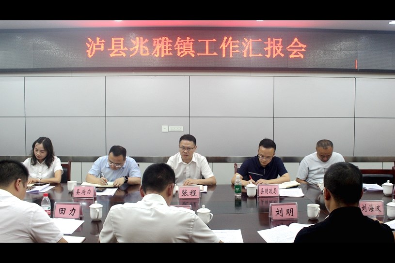 张程率队到兆雅镇调研重点工作