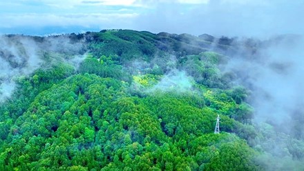 漫步道林沟，大口“森”呼吸！