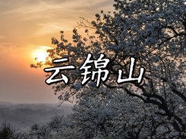 走近泸县——云锦山
