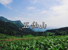 走近泸县——五仙山