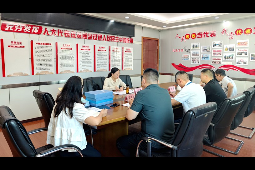 冯怀玉率队到兆雅镇督导乡村振兴等当前重点工作