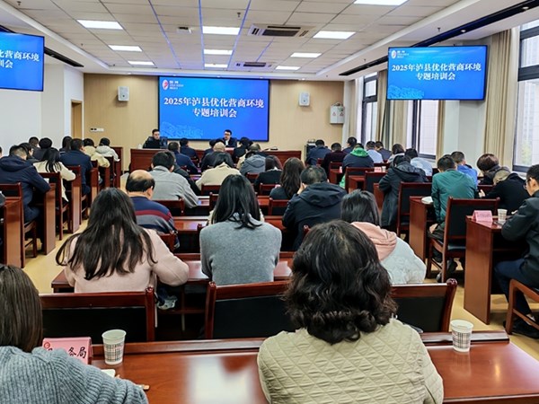 泸县举办2025年优化营商环境专题培训会