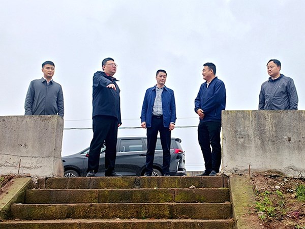 马晋宇率队督导小鹿溪河长制工作