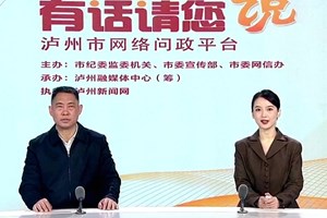 2024泸州政务服务管理工作